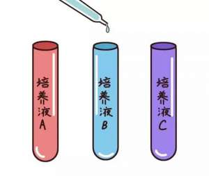 子宮內(nèi)膜過(guò)薄可以做試管嗎